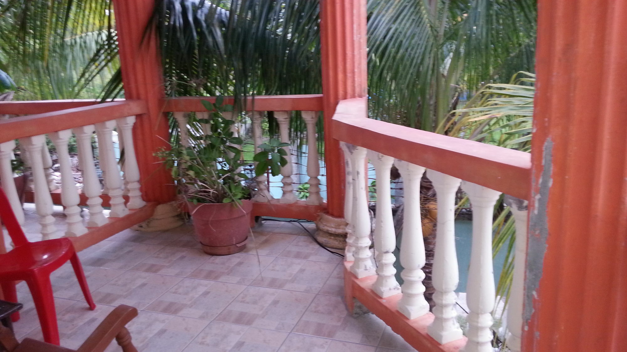 La Delphina Bed And Breakfast Bar And Grill La Ceiba Exteriör bild